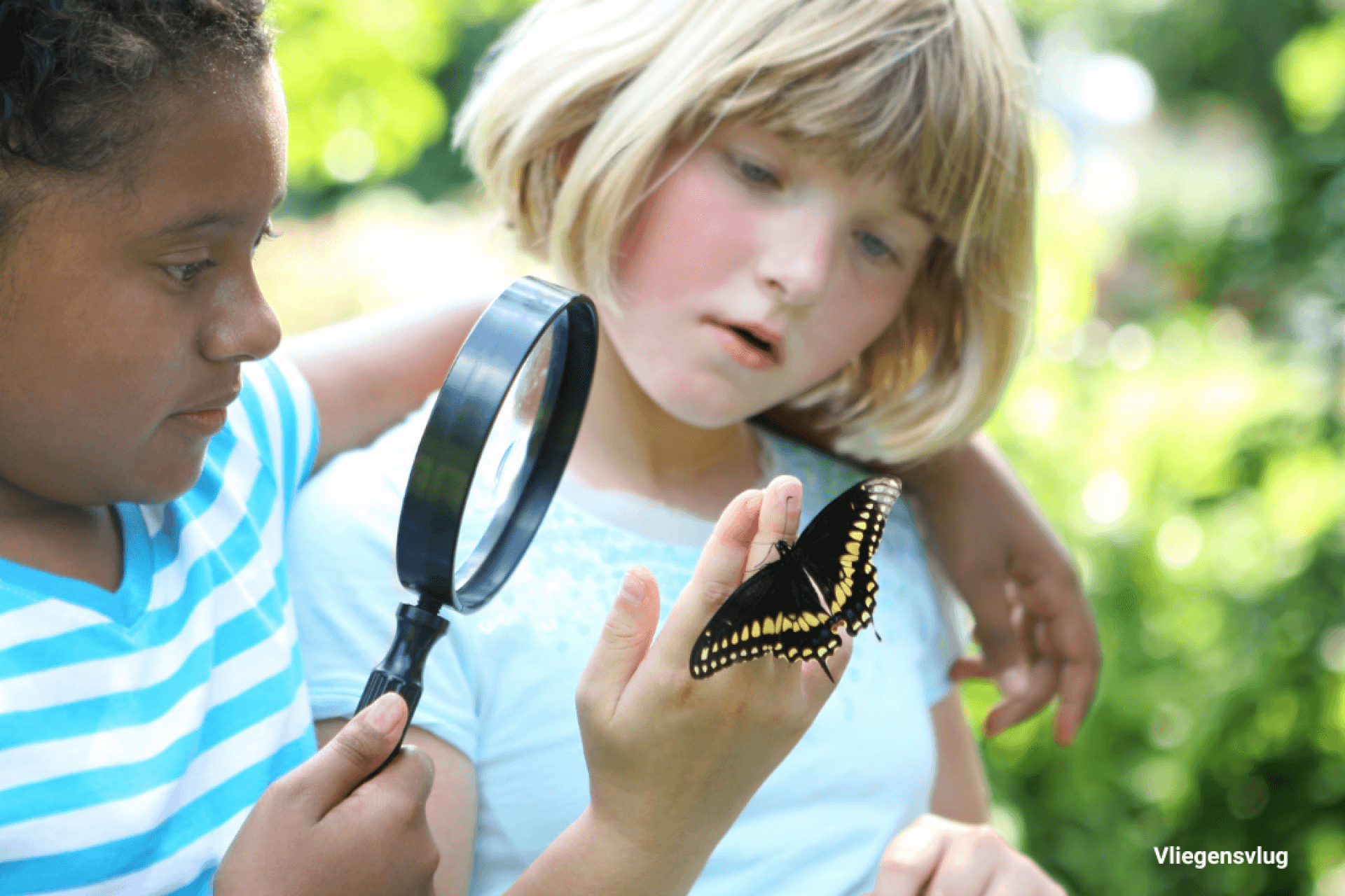 Kinderen kijken door een loep naar een vlinder