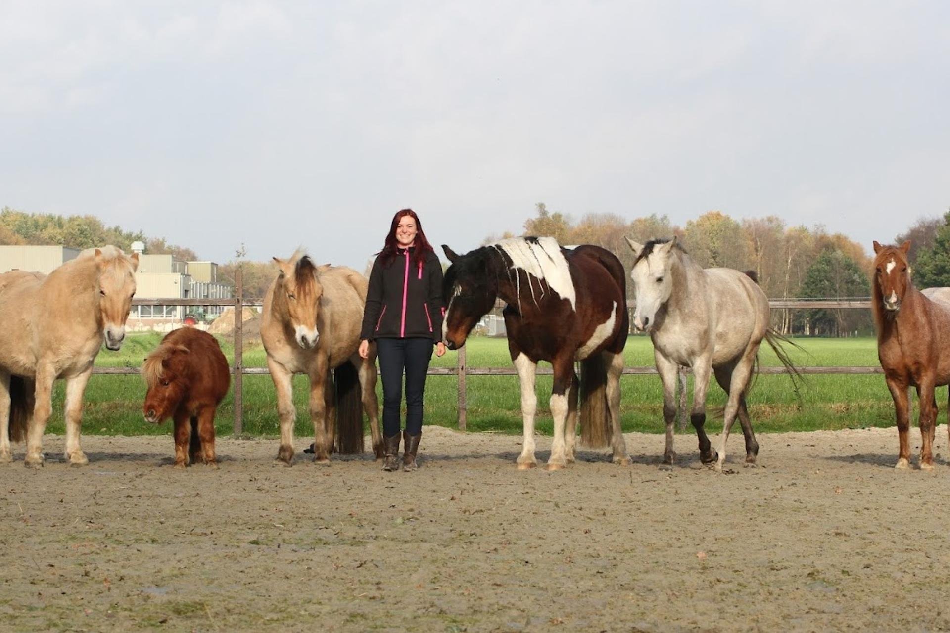 Yacintha staat tussen haar pony's en paarden van Help with Horses