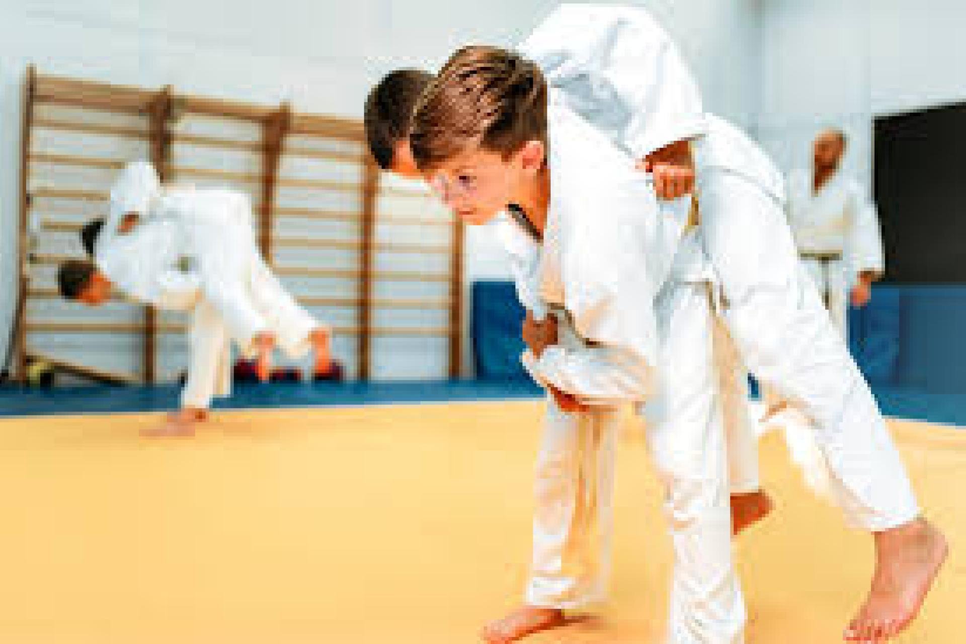 Judo NSW