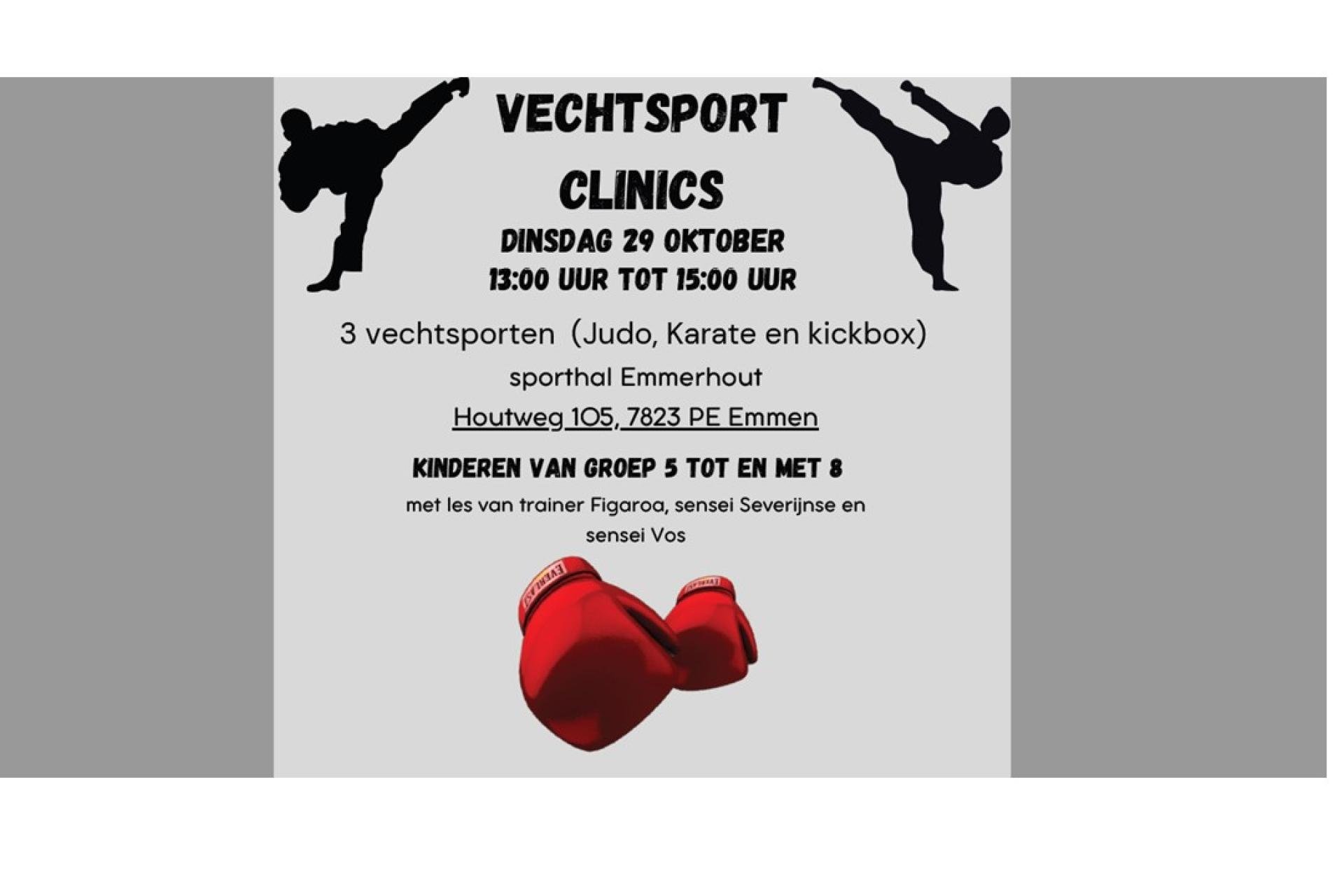 flyer vechtsporten